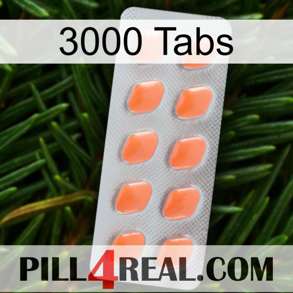 3000 Tabs 26.jpg